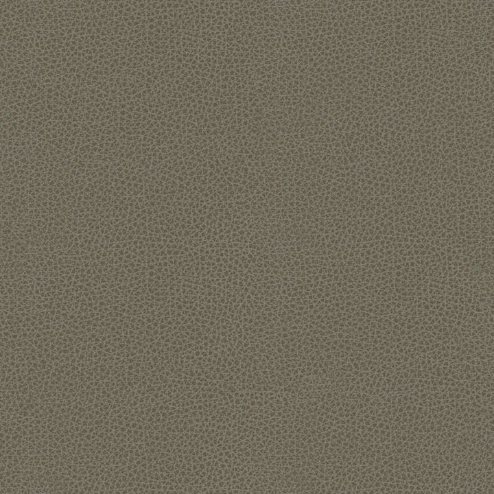 BESS.11 by Kravet Contract Designer Fabric in our sample Poly Vinyl Chloride 100% Taiwan Heavy Horizontal: See Sample and Vertical: See Sample 54 inches - Swanky Fabrics -