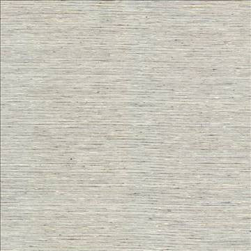 Bharat Fog by Kasmir Designer Fabric 5100 100% Polyester INDIA 20,000 Martindale Cycles H: N/A, V: N/A 53 - 54 - Swanky Fabrics - Kasmir