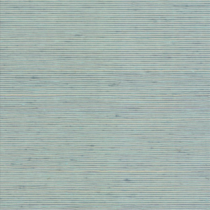Bharat Lagoon by Kasmir Designer Fabric See sample 100% Polyester
 INDIA 20,000 Martindale Cycles </p><p>Repeat: Horizontal: N/A and Vertical: N/A 53 - Swanky Fabrics -