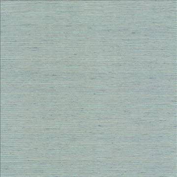 Bharat Lagoon by Kasmir Designer Fabric 5098 100% Polyester INDIA 20,000 Martindale Cycles H: N/A, V: N/A 53 - 54 - Swanky Fabrics - Kasmir