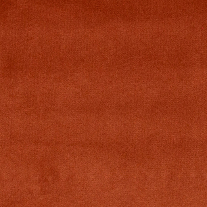 Bliss Terra Cotta by Europatex Designer Fabric Bliss 100% Polyester 0.00" 110.00 inches - Swanky Fabrics -