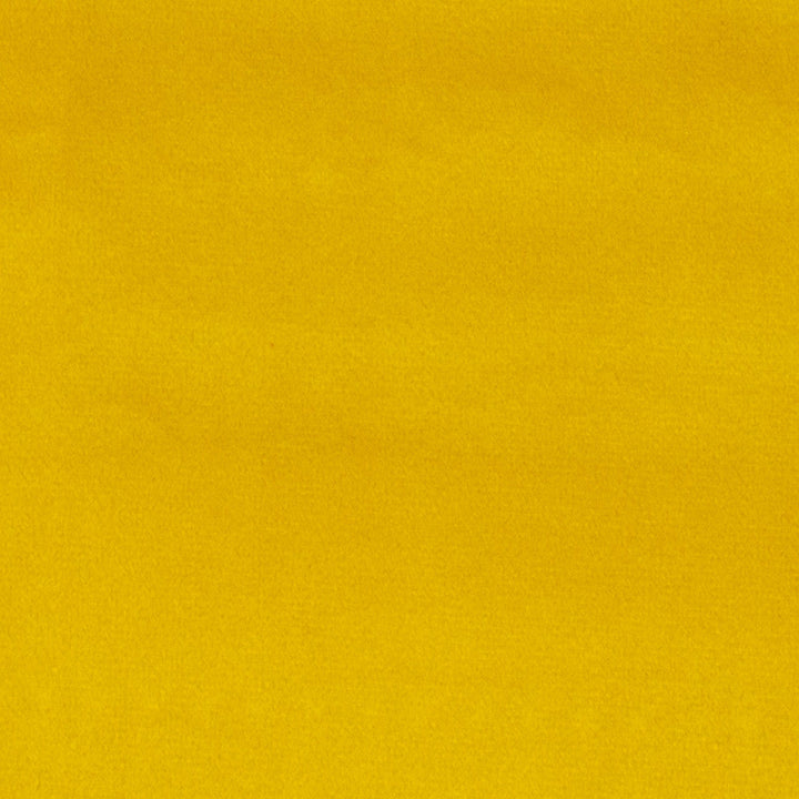 Bliss Yellow by Europatex Designer Fabric Bliss 100% Polyester 0.00" 110.00 inches - Swanky Fabrics -