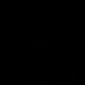 Europatex Fabric Bliss Black