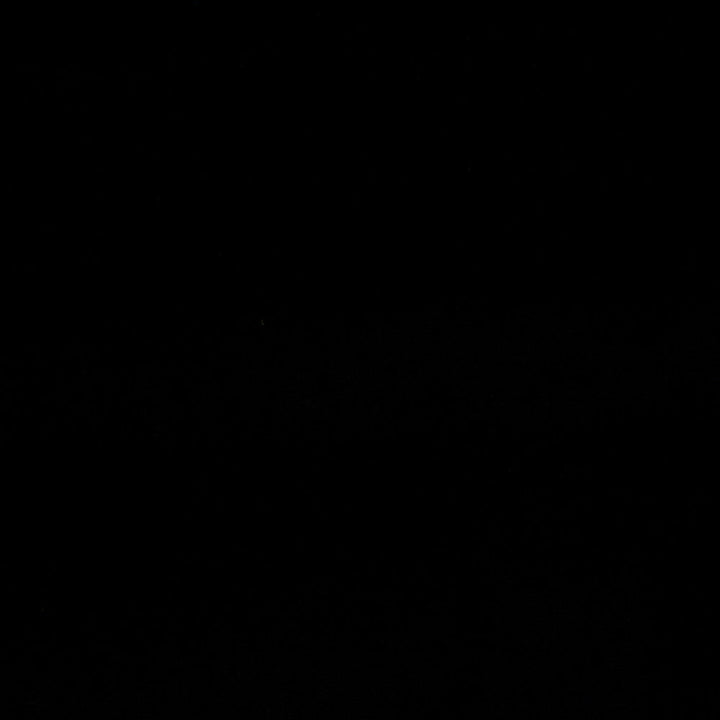 Bliss Black by Europatex Designer Fabric Bliss 100% Polyester 0.00" 110.00 inches - Swanky Fabrics -