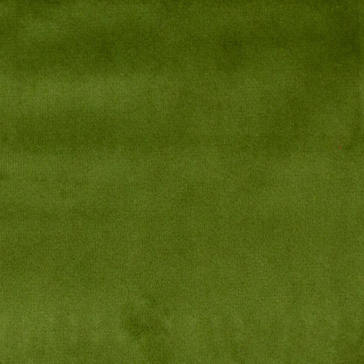 Bliss Grass by Europatex Designer Fabric Bliss 100% Polyester 0.00" 110.00 inches - Swanky Fabrics -