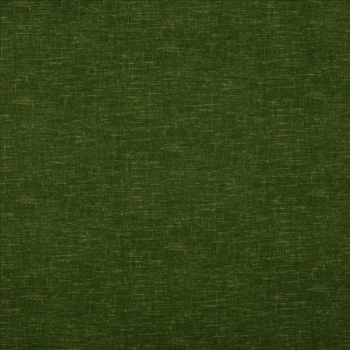 Bluffhaven Forest by Kasmir Designer Fabric 5180 100% Polyester
 CHINA 100,000 Wyzenbeek Double Rubs </p><p>Repeat: Horizontal: N/A and Vertical: N/A 54 - Swanky Fabrics -