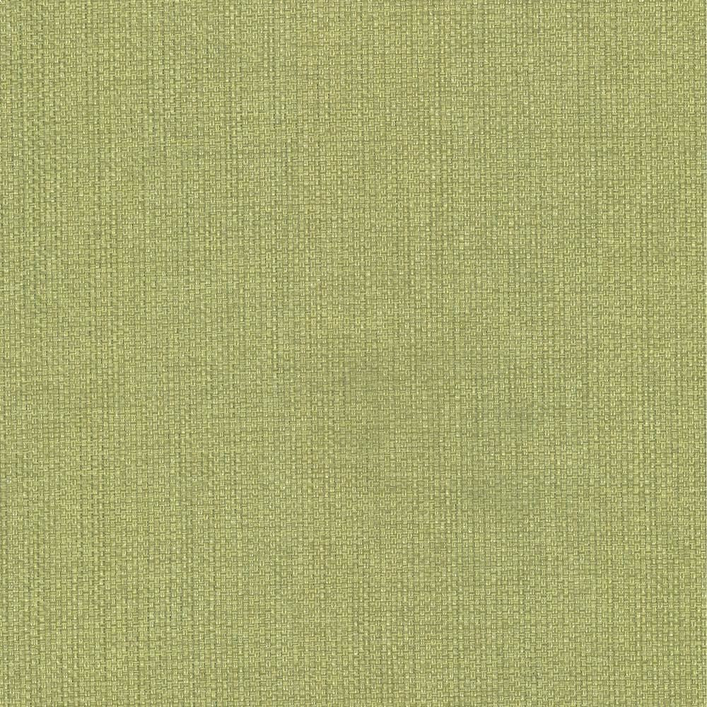 Bolsa Avocado by Kasmir Designer Fabric 5053 57% Cotton 43% Polyester TURKEY 87,000 Wyzenbeek Double Rubs Horizontal: 0 Inches and Vertical: 0 Inches 55 - Swanky Fabrics -