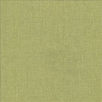 Bolsa Avocado by Kasmir Designer Fabric 5053 57% Cotton 43% Polyester TURKEY 87,000 Wyzenbeek Double Rubs H: N/A, V: N/A 55 - Swanky Fabrics - Kasmir
