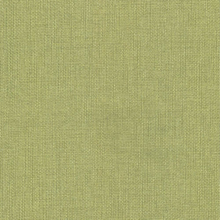 Bolsa Avocado by Kasmir Designer Fabric 5053 57% Cotton
43% Polyester
 TURKEY </p><p>Repeat: Horizontal: N/A and Vertical: N/A 55 - Swanky Fabrics -