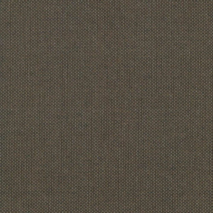 Bolsa Chocolate  by Kasmir Designer Fabric 5053 57% Cotton
43% Polyester
 TURKEY 87,000 Wyzenbeek Double Rubs Horizontal: N/A and Vertical: N/A 55  - Swanky Fabrics -