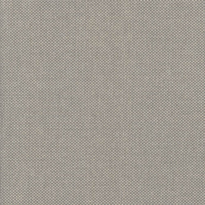 Bolsa Pebble by Kasmir Designer Fabric 5053 57% Cotton
43% Polyester
 TURKEY </p><p>Repeat: Horizontal: N/A and Vertical: N/A 55 - Swanky Fabrics -