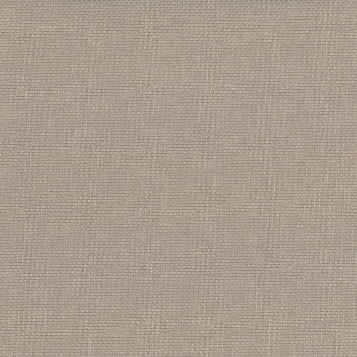 Bolsa Sand by Kasmir Designer Fabric 5053 57% Cotton
43% Polyester
 TURKEY </p><p>Repeat: Horizontal: N/A and Vertical: N/A 55 - Swanky Fabrics -