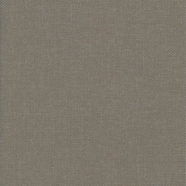 Bolsa Taupe by Kasmir Designer Fabric 5053 57% Cotton 43% Polyester TURKEY 87,000 Wyzenbeek Double Rubs Horizontal: 0 Inches and Vertical: 0 Inches 55 - Swanky Fabrics -