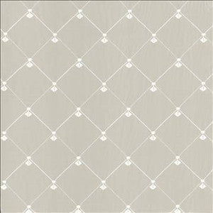 Kasmir Fabric Borderline Champagne