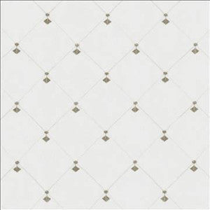 Kasmir Fabric Borderline Smoke