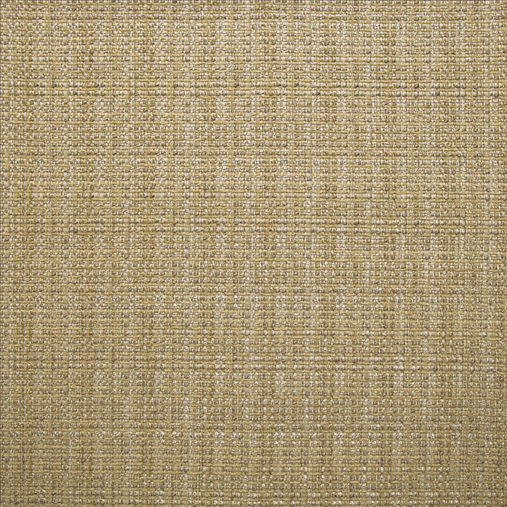 Bouvier Sisal by Kasmir Designer Fabric 1466 49% Polyester
24% Cotton
23% Acrylic
4% Rayon
 CHINA 50,000 Wyzenbeek Double Rubs </p><p>Repeat: Horizontal: 1 7/8 inches and Vertical: 2 1/8 inches 55 - Swanky Fabrics -