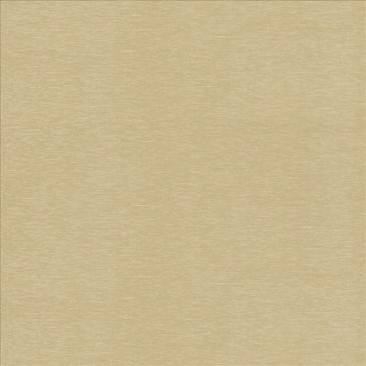 Boxwood Beige by Kasmir Designer Fabric 5002 55% Cotton
45% Polyester
 TAIWAN 30,000 Wyzenbeek Double Rubs </p><p>Repeat: Horizontal: N/A and Vertical: N/A 54 - Swanky Fabrics -