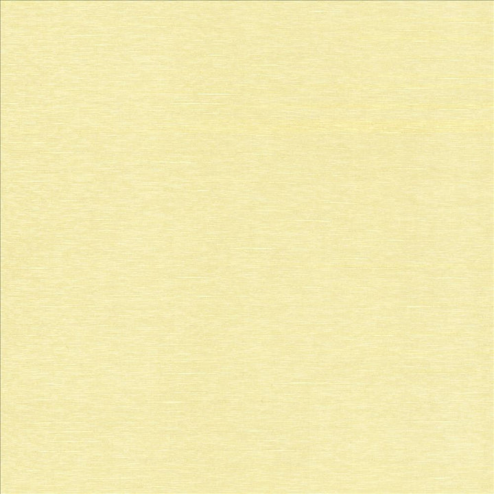 Boxwood Buff by Kasmir Designer Fabric 5149 55% Cotton
45% Polyester
 TAIWAN </p><p>Repeat: Horizontal: N/A and Vertical: N/A 54 - 55 - Swanky Fabrics -