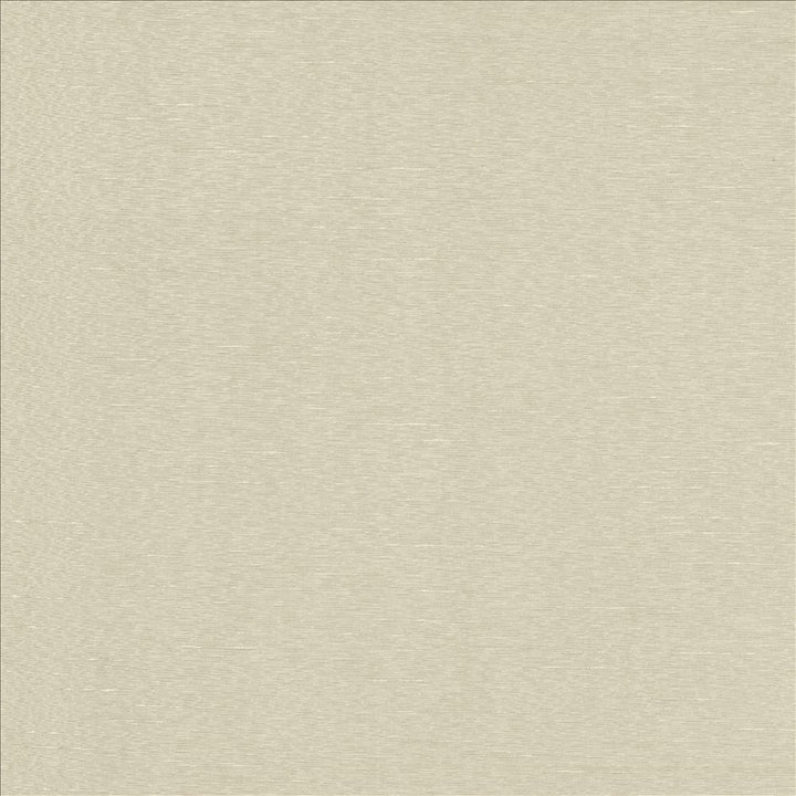 Boxwood Crystal by Kasmir Designer Fabric 5149 55% Cotton
45% Polyester
 TAIWAN </p><p>Repeat: Horizontal: N/A and Vertical: N/A 54 - 55 - Swanky Fabrics -