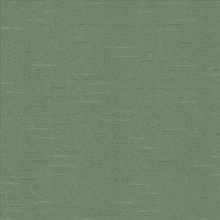 Symphony /D Eucalyptus  by Kasmir Designer Fabric 5149 55% Cotton 45% Polyester  TAIWAN  </p><p>Repeat: Horizontal: N/A and Vertical: N/A 54  - 55   - Swanky Fabrics -