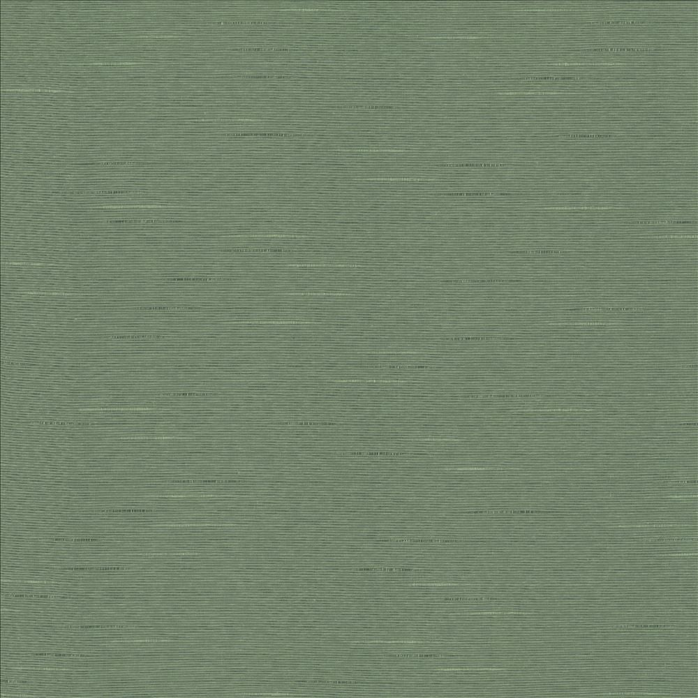 Symphony /D Eucalyptus  by Kasmir Designer Fabric 5149 55% Cotton 45% Polyester  TAIWAN  </p><p>Repeat: Horizontal: N/A and Vertical: N/A 54  - 55   - Swanky Fabrics -