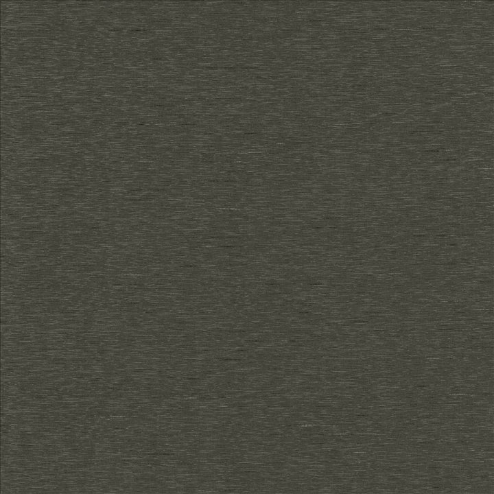 Boxwood Gravel by Kasmir Designer Fabric 5149 55% Cotton
45% Polyester
 TAIWAN </p><p>Repeat: Horizontal: N/A and Vertical: N/A 54 - 55 - Swanky Fabrics -