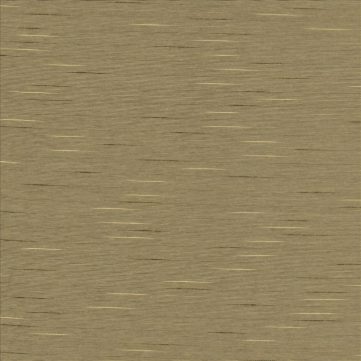 Boxwood Husk by Kasmir Designer Fabric See sample 55% Cotton
45% Polyester
 TAIWAN 30,000 Wyzenbeek Double Rubs </p><p>Repeat: Horizontal: N/A and Vertical: N/A 54 - Swanky Fabrics -