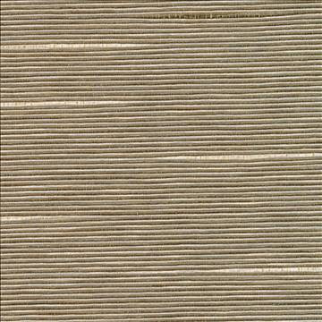 Boxwood Husk by Kasmir Designer Fabric 5002 55% Cotton 45% Polyester TAIWAN 30,000 Wyzenbeek Double Rubs H: N/A, V: N/A 54 - 55 - Swanky Fabrics - Kasmir