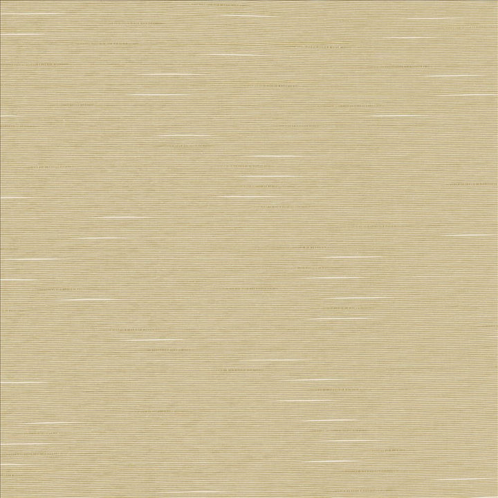 Boxwood Oyster by Kasmir Designer Fabric 5002 55% Cotton
45% Polyester
 TAIWAN 30,000 Wyzenbeek Double Rubs </p><p>Repeat: Horizontal: N/A and Vertical: N/A 54 - Swanky Fabrics -
