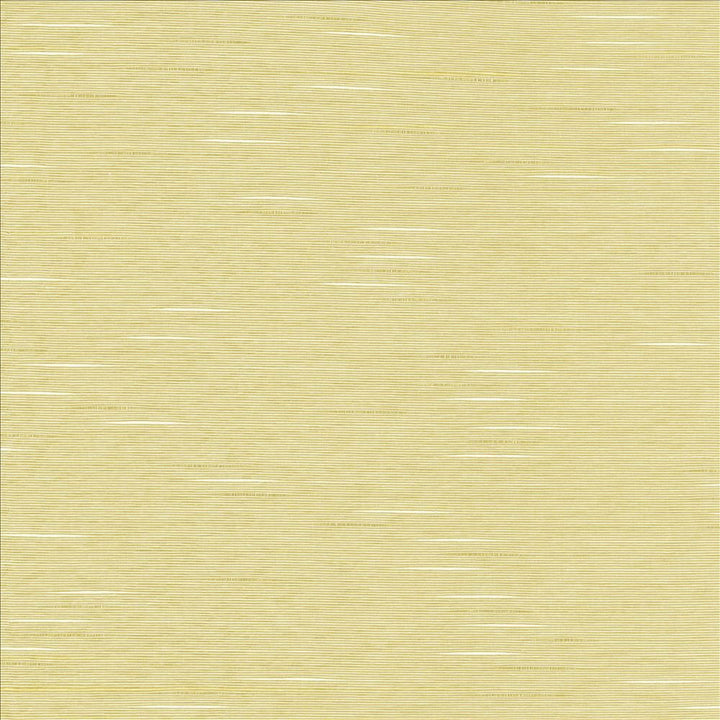 Boxwood Oyster by Kasmir Designer Fabric See sample 55% Cotton
45% Polyester
 TAIWAN 30,000 Wyzenbeek Double Rubs </p><p>Repeat: Horizontal: N/A and Vertical: N/A 54 - Swanky Fabrics -