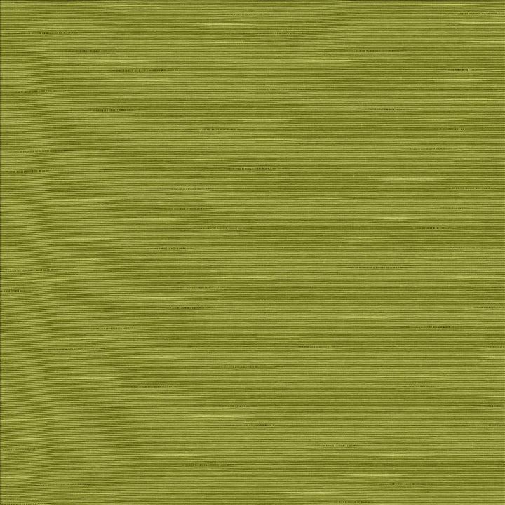 Boxwood Pear by Kasmir Designer Fabric See sample 55% Cotton
45% Polyester
 TAIWAN 30,000 Wyzenbeek Double Rubs </p><p>Repeat: Horizontal: N/A and Vertical: N/A 54 - Swanky Fabrics -