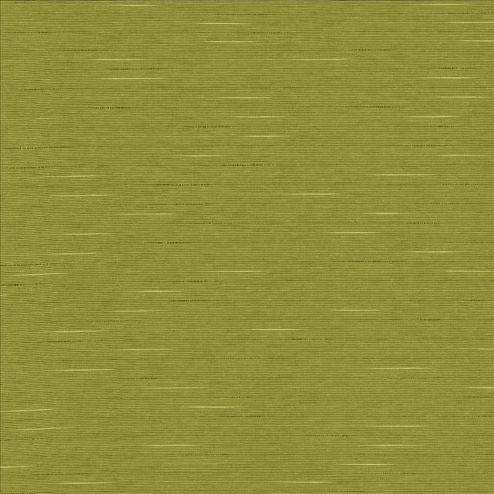 Boxwood Pear by Kasmir Designer Fabric 5149 55% Cotton
45% Polyester
 TAIWAN </p><p>Repeat: Horizontal: N/A and Vertical: N/A 54 - 55 - Swanky Fabrics -