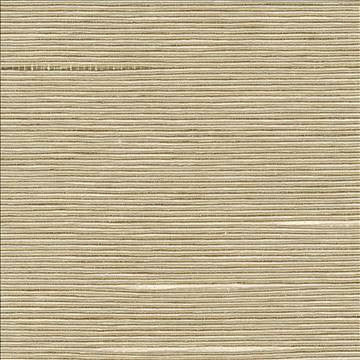 Boxwood Putty by Kasmir Designer Fabric 1319 55% Cotton 45% Polyester TAIWAN 30,000 Wyzenbeek Double Rubs H: N/A, V: N/A 54 - 55 - Swanky Fabrics - Kasmir