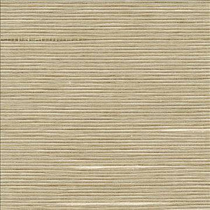 Kasmir Fabric Boxwood Putty