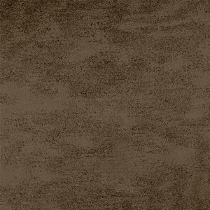 Braccio Latte  by Kasmir Designer Fabric 5126 100% Polyester
 INDIA 30,000 Wyzenbeek Double Rubs Horizontal: N/A and Vertical: N/A 54  - Swanky Fabrics -