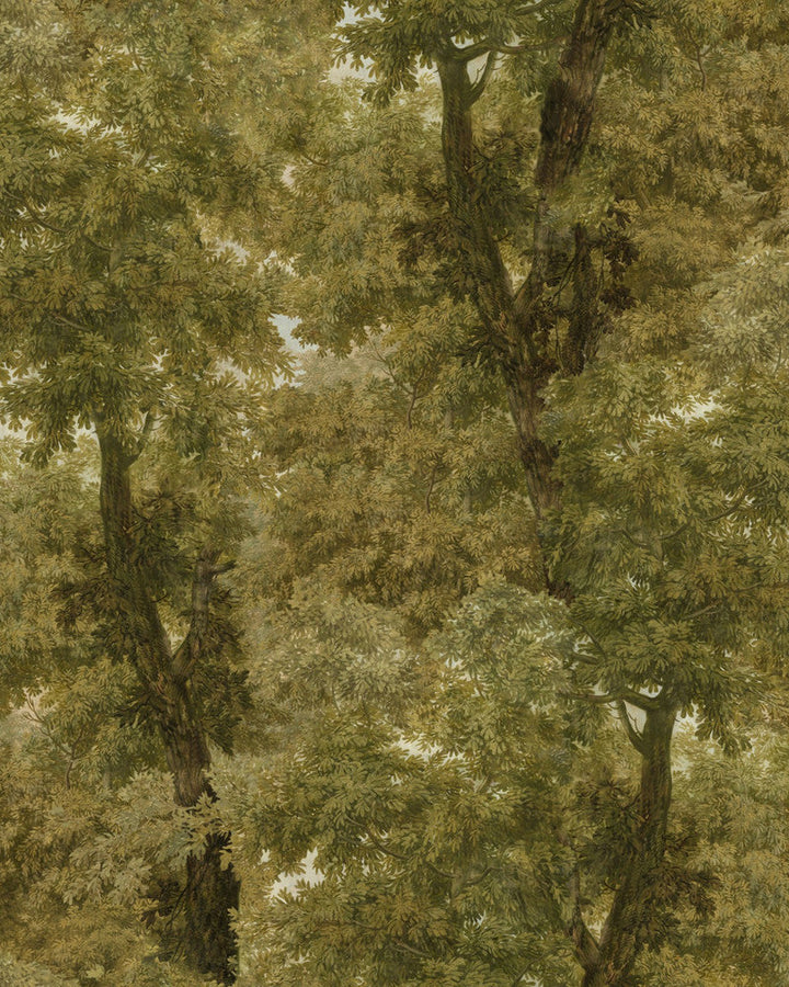 Branchy Autumn Wallpaper by Mind the Gap Designer Wallpaper ORIENT EXPRESS Non-woven Made in Europe Paste the wall 3 rolls x 20.5 x 3.25 yards - Swanky Fabrics -