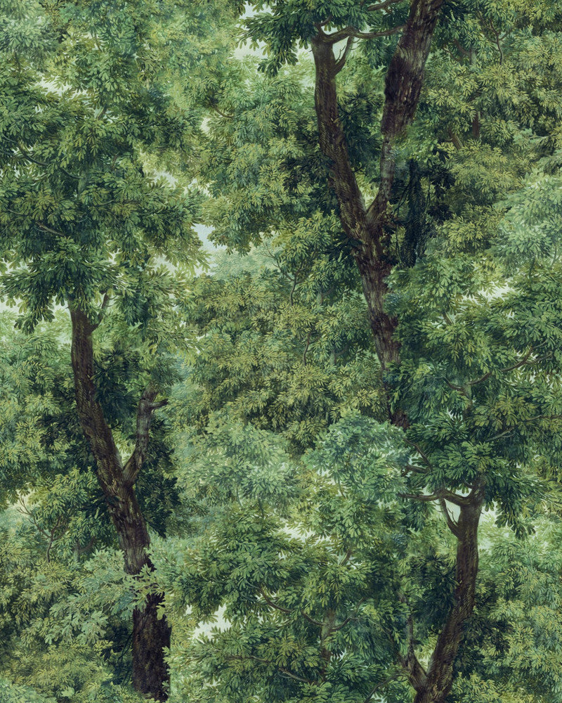 Branchy Meadow Green Wallpaper by Mind the Gap Designer Wallpaper ORIENT EXPRESS Non-woven Made in Europe Paste the wall 3 rolls x 20.5 x 3.25 yards - Swanky Fabrics -