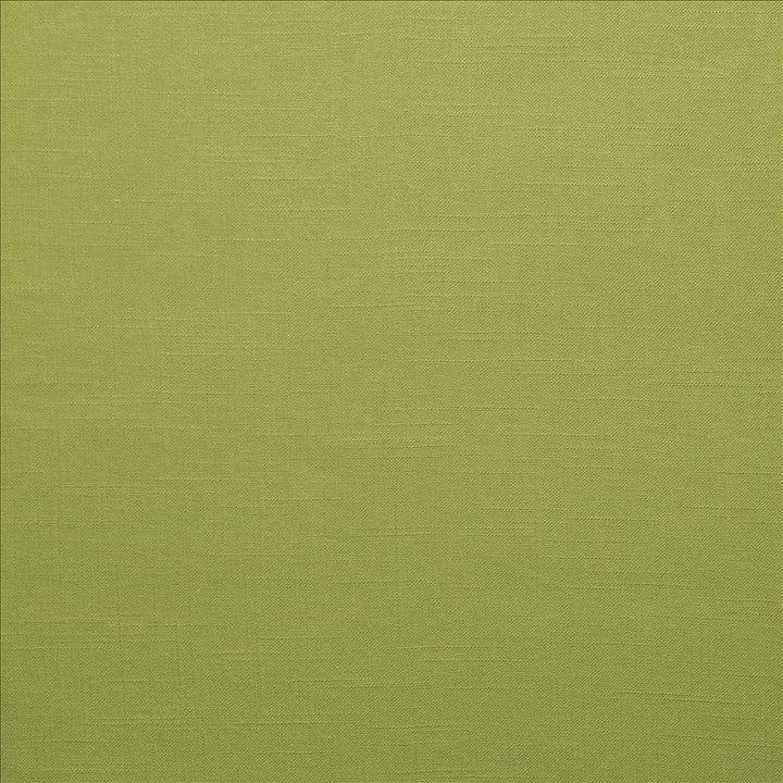 Brandenburg Palm by Kasmir Designer Fabric 5178 55% Linen
45% Viscose
 CHINA 12,000 Wyzenbeek Double Rubs </p><p>Repeat: Horizontal: N/A and Vertical: N/A 54 - Swanky Fabrics -