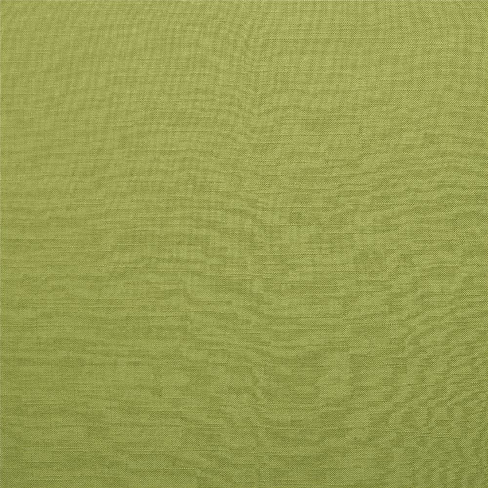 Brandenburg Palm by Kasmir Designer Fabric 5178 55% Linen
45% Viscose
 CHINA </p><p>Repeat: Horizontal: N/A and Vertical: N/A 54 - Swanky Fabrics -