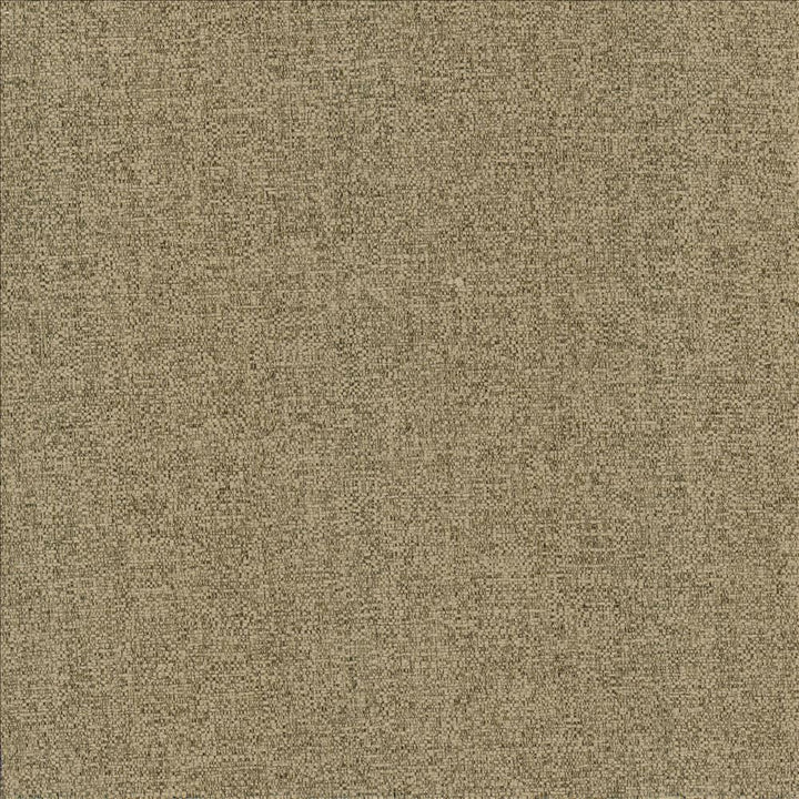 Brandon Mushroom by Kasmir Designer Fabric 5159 100% Polyester
 CHINA 50,000 Wyzenbeek Double Rubs </p><p>Repeat: Horizontal: N/A and Vertical: N/A 54 - Swanky Fabrics -