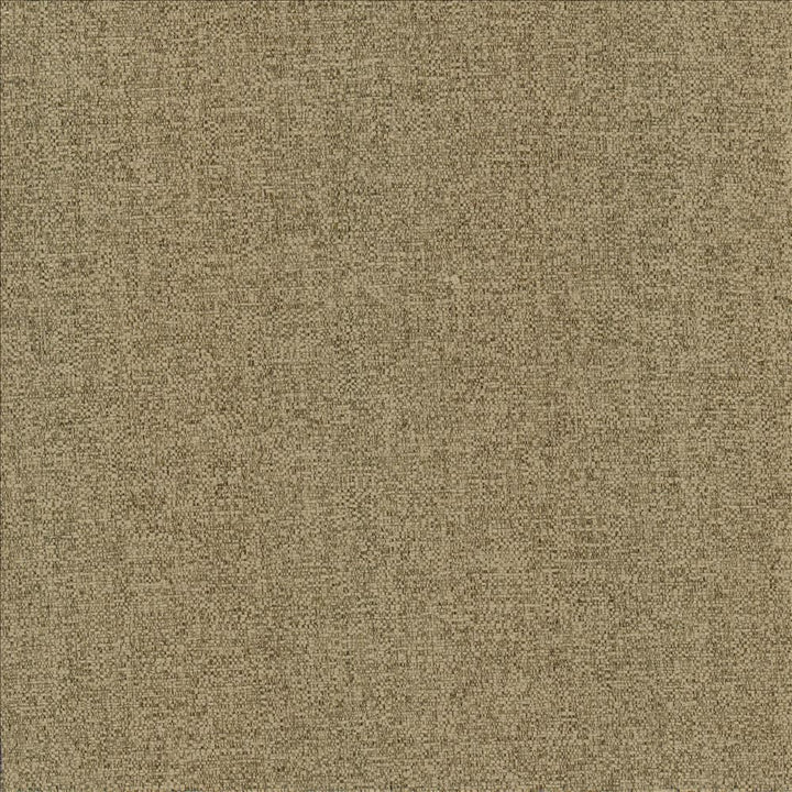 Brandon Mushroom by Kasmir Designer Fabric 5159 100% Polyester CHINA 50,000 Wyzenbeek Double Rubs Horizontal: 0 Inches and Vertical: 0 Inches 54 - Swanky Fabrics -