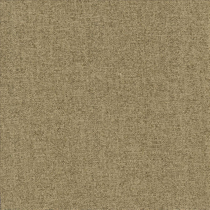 Brandon Mushroom  by Kasmir Designer Fabric 5159 100% Polyester
 CHINA 50,000 Wyzenbeek Double Rubs Horizontal: N/A and Vertical: N/A 54  - Swanky Fabrics -