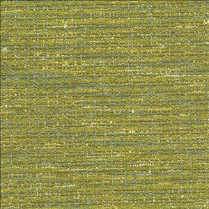 Kasmir Fabric Branford Palm