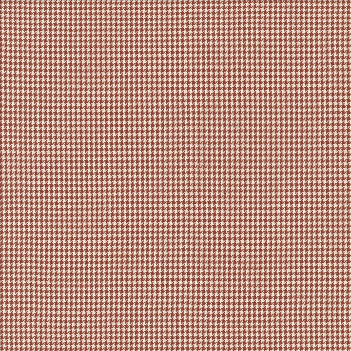 Breed Persimmon by Kasmir Designer Fabric 5146 100% Cotton INDIA 12,000 Wyzenbeek Double Rubs Horizontal: 2/8 inches and Vertical: 2/8 inches 54 - Swanky Fabrics -