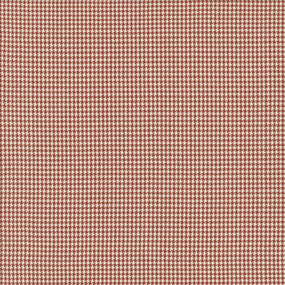 Breed Persimmon  by Kasmir Designer Fabric 5146 100% Cotton
 INDIA 12,000 Wyzenbeek Double Rubs Horizontal: 2/8 inches and Vertical: 2/8 inches 54  - Swanky Fabrics -