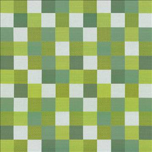 Kasmir Fabric Brewster Check Grotto