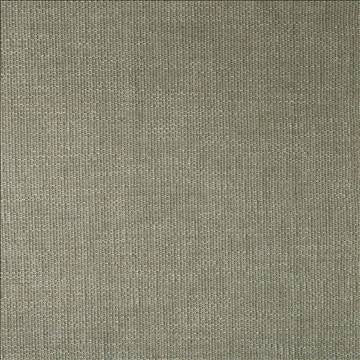 Briarwood Bedrock by Kasmir Designer Fabric 5100 80% Polyester 20% Acrylic CHINA 27,000 Wyzenbeek Double Rubs H: N/A, V: N/A 55 - Swanky Fabrics - Kasmir