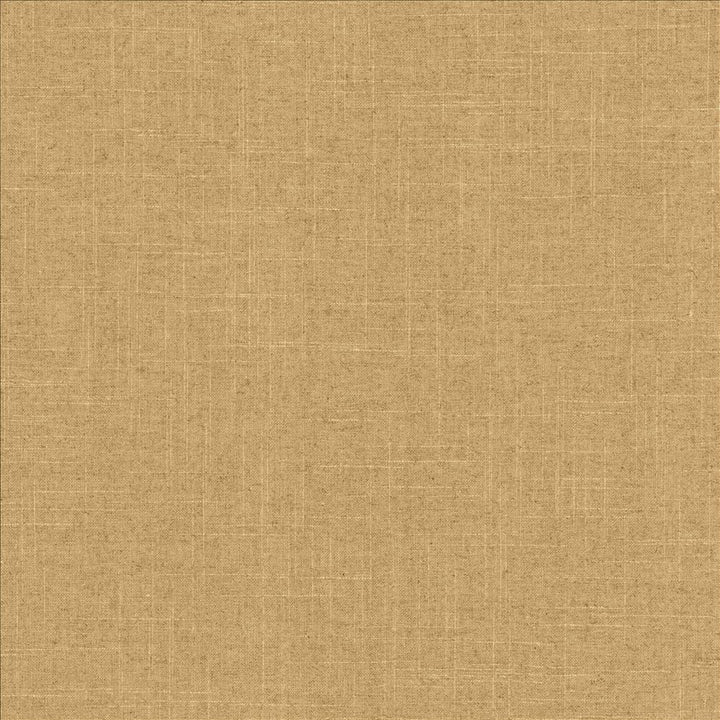 Brigadoon Canyon by Kasmir Designer Fabric 1377 55% Linen
45% Rayon
 CHINA </p><p>Repeat: Horizontal: N/A and Vertical: N/A 54 - 55 - Swanky Fabrics -