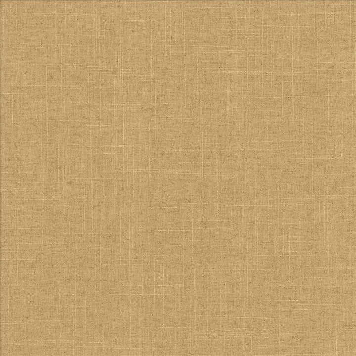 Brigadoon Canyon by Kasmir Designer Fabric 5048 55% Linen
45% Rayon
 CHINA 30,000 Wyzenbeek Double Rubs </p><p>Repeat: Horizontal: N/A and Vertical: N/A 54 - Swanky Fabrics -