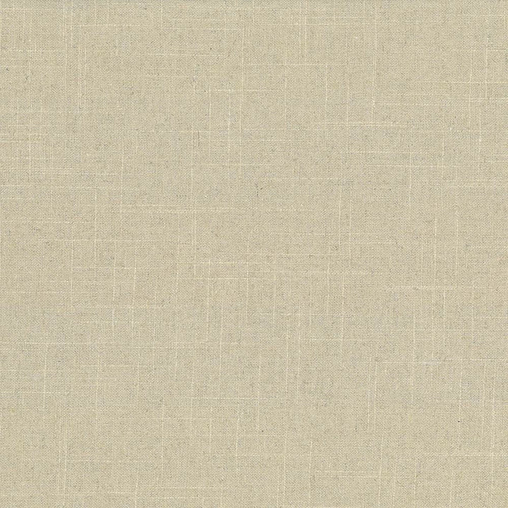 Brigadoon Canyon by Kasmir Designer Fabric 1377 55% Linen 45% Rayon CHINA 12,000 Wyzenbeek Double Rubs Horizontal: 0 Inches and Vertical: 0 Inches 54 - 55 - Swanky Fabrics -
